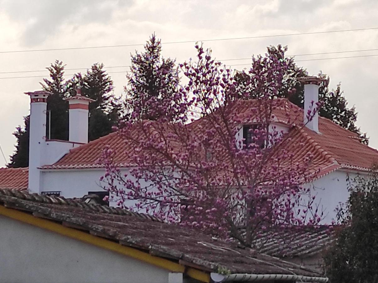 Ferienwohnung Quinta Do Gestal - Soutelo Vila Verde  Exterior foto